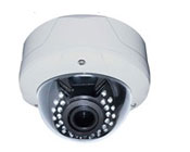 Megapixel IP Cameras