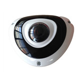 H.265 HD Fisheye IP Camera