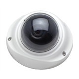 1.3MP HD AHD Fish Eye Camera